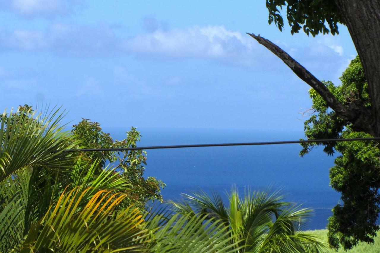 Or Bleu-Bungalow Volcan Soufriere-Vue Sur Mer Saint Claude Bagian luar foto
